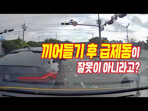 28153회. 차로 변경해 들어온 상대가 황색 신호에 바로 멈추는 바람에 블박차가 후방에서 추돌한 사고
