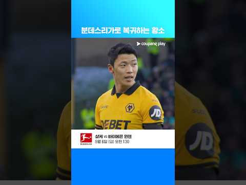 김민재가 누비는 분데스리가로 떠난 황희찬 | 황희찬 이슈 | 황희찬 25-26 공격 포인트 모음