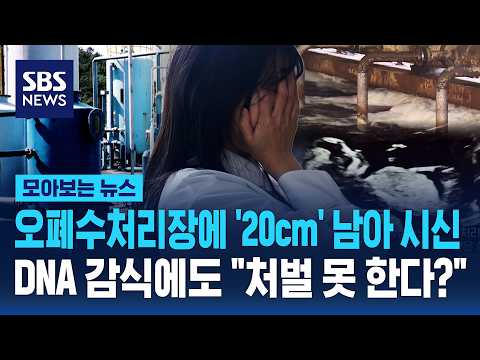 오폐수처리장에 '20cm' 남아 시신..DNA 감식에도 "처벌 못 해" 왜? / SBS / 모아보는 뉴스