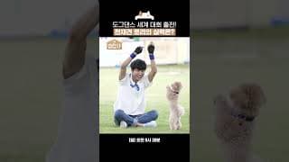 [#습집사😺] 너무 귀엽고 사랑스러운 스텝! 🐾 완벽한 교감 보여준 한솔과 토리의 첫 도그댄스! 🕺🏼🐕 | TV 동물농장 | SBS