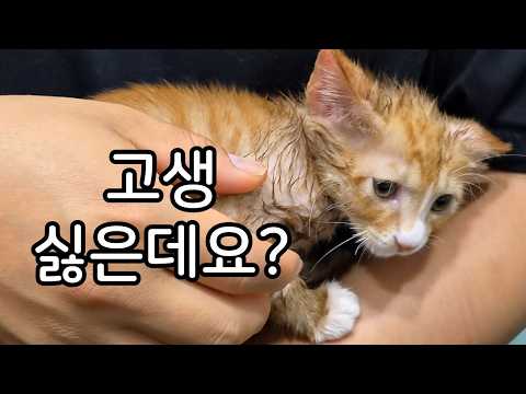 고생 뒤에 행복이 온다니까?