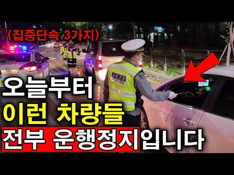 드디어 10월부터 전국민 집중단속 시작합니다..! (정부에서 이를 갈았습니다)