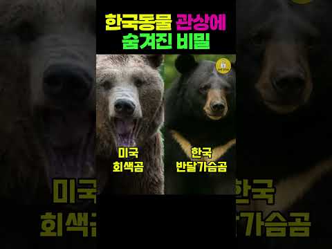 한국동물 관상에/숨겨진 비밀