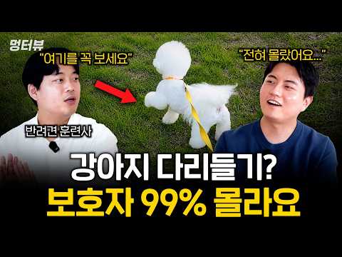 강아지 키우면 꼭 알아야 할 강아지언어 6가지 (위급한 신호들 놓치지 마세요) | 멍터뷰 ep.94