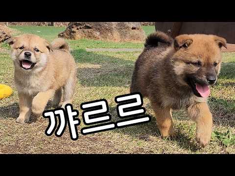 사람 손이 좋아지기 시작한 박이들