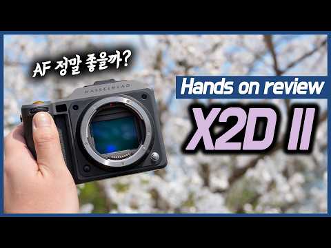 핫셀 X2D II - AF는 얼마나 좋을까? [리뷰 1편]