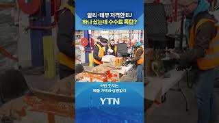 물건보다 비싸다 #shorts / YTN