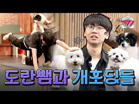 귀엽고 행복할 줄 알았나요? 그건 오산 입니다. | 온 세상이 T1 : 도란 강아지 유치원 1편
