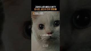 이래서 강재희 술 못먹게한거였엌ㅋㅋ 모조리 잡다가 뽀뽀까지~~｜#tvN #나의유죄인간 #LoveinDisguise #OST #THAMA #Drawn｜#Shorts