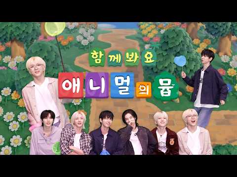 함께 봐요 애니멀의 뮵ㅣ‘ANIMAL’ MV 리액션 - BOYNEXTDOOR (보이넥스트도어)