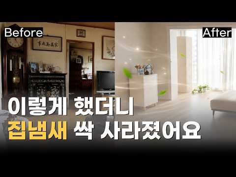 집냄새 바꾸는 가장 쉬운 꿀팁 5가지