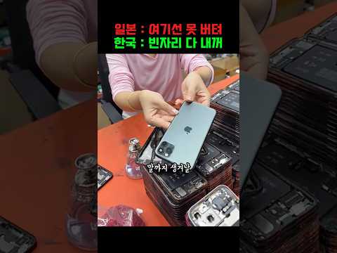 "LG도 거기서 버티긴 힘들지" 일본조차 두 손 들고 도망친 애플 시장, 한국이 다 먹어버린 이유