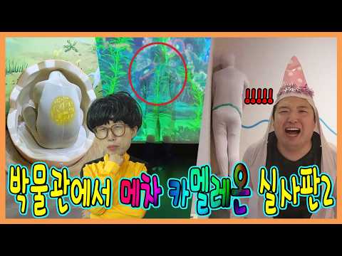 박물관에서 메챠카멜레온을 실제로한다면?!?!