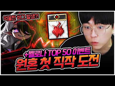 원혼 첫 직작부터 벨로나 TOP 50까지 싹 다 도전합니다! [팡이요,  메이플스토리]