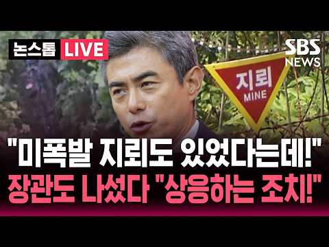DMZ '목함 지뢰 목격' 이어 "미폭발 지뢰 1발 있었다" 진술 나왔는데.."북한 지뢰로 확인되면?" 묻자 강신철 장관 "상응하는 조치!" / SBS 뉴스속보