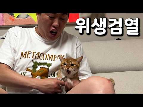 지랄묘 발톱 깎기