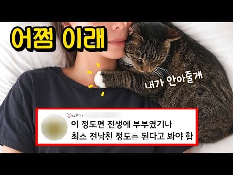 고양이가 집사를 너무 사랑하면 생기는 일 : 이 성격에 혼자 길에서 어떻게 살았냐구..ㅠㅠ