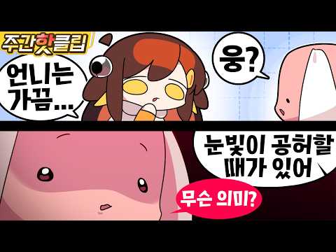 【 탬탬버린／8월 4주차 하이라이트! 】 - 8월 4주차에 있었던 핫클립들을 모아놓은 주간핫클립!