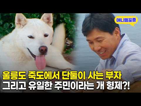 사이좋은 부자와 강아지 형제의 단란한 울릉도 죽도 생활 | KBS 인간극장 040816~040819 방송