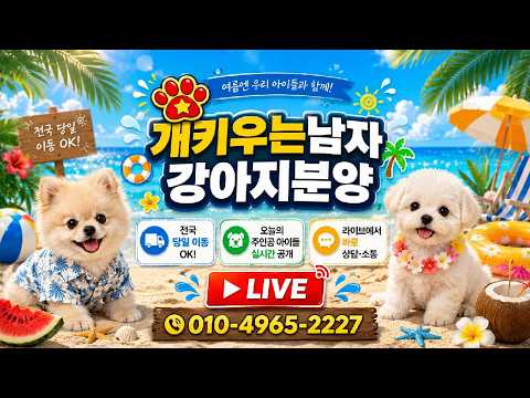 대구강아지분양개키우는남자 라이브 방송