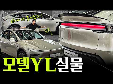 테슬라 모델 YL 실물 보니 의외다… 한국 출시 6499만원, 중국판과 달랐다
