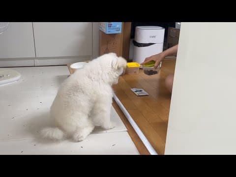 뚜비가 엄마랑 수상한 모임을 만들었어요..