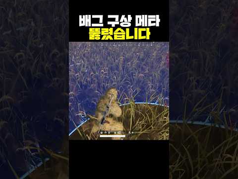 배그 구상 메타 뚫렸습니다