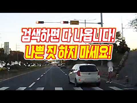 28698회. 빨간 신호 무시하고 달리다가 횡단보도 건너는 할머니를 칠 뻔한 차를 공익 신고했더니 이런 일이!