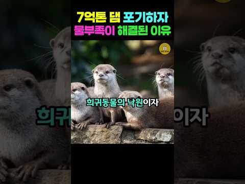 7억톤 댐 포기하자/물부족이 해결된 이유