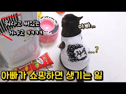자기 옷도 안 사는 남자가 고양이 옷을 사온 기막힌 이유 : 입은 거 보면 바로 납득 가능 (ft.존예 여집사)