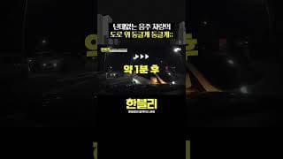 도로 위 난데없는 둥글게 둥글게? #한블리 #shorts
