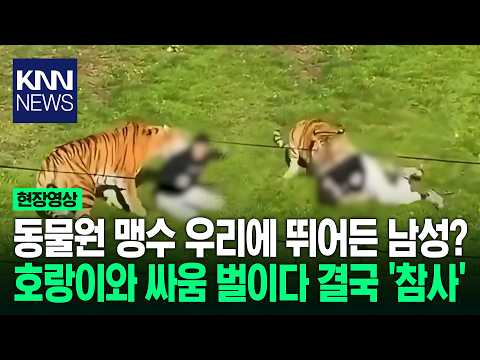 동물원 호랑이 우리에 뛰어든 남성?...결국 벌어진 충격적인 비극/ KNN