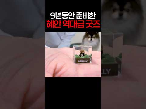 9년 만에 나온, 역대급 혜안 굿즈 ㄷㄷ