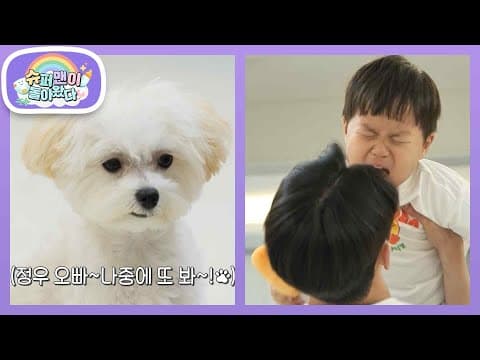 [김준호네] 라떼 응가까지 치워줬는데... 라떼와의 이별에 눈물 터진 오빠 정우♥ [슈퍼맨이 돌아왔다/The Return of Superman] | KBS 260722 방송