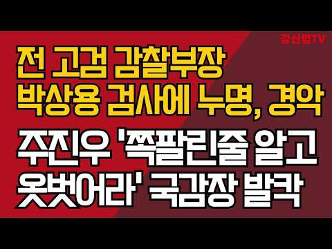 박상용 감찰한 전 서울고검 감찰부장에 주진우  분노의 호통/ 국감장 발칵 난리났다/강신업 TV