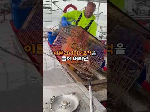 이탈리아가 42억을 들여 버리던 골칫덩이 꽃게를 한국이 사 오자 난리 난 이유