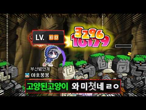 단언컨대 동랩 표도 중 최강일겁니다..